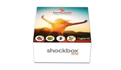 shockbox mini